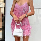 Samba | Elegancija u pokretu