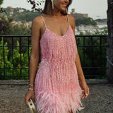 Samba | Elegancija u pokretu