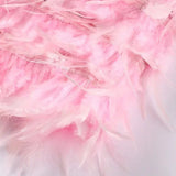 Samba | Elegancija u pokretu